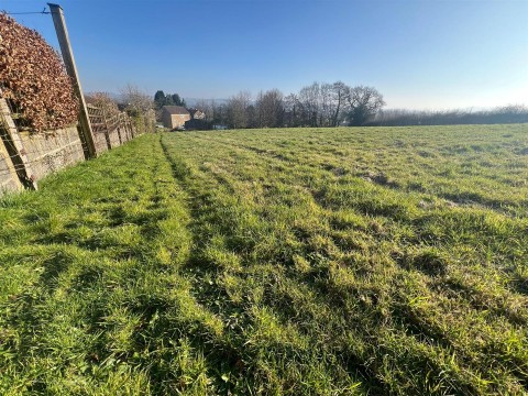Click the photo for more details of Mosterton, Beaminster
