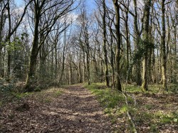 Images for Washford Pyne