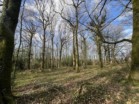 Click the photo for more details of Washford Pyne
