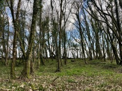 Images for Washford Pyne