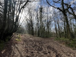 Images for Washford Pyne