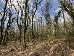 Images for Washford Pyne