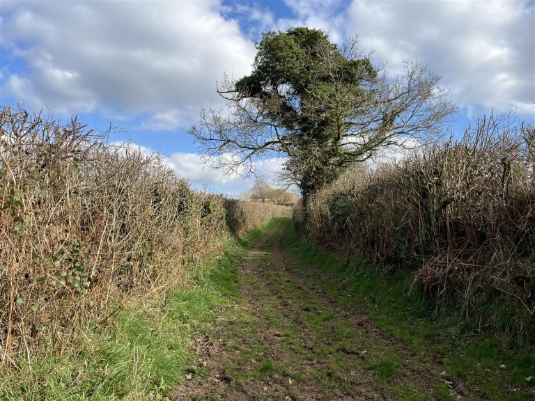 Images for Washford Pyne