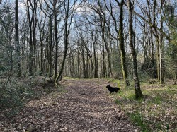 Images for Washford Pyne