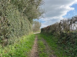 Images for Washford Pyne