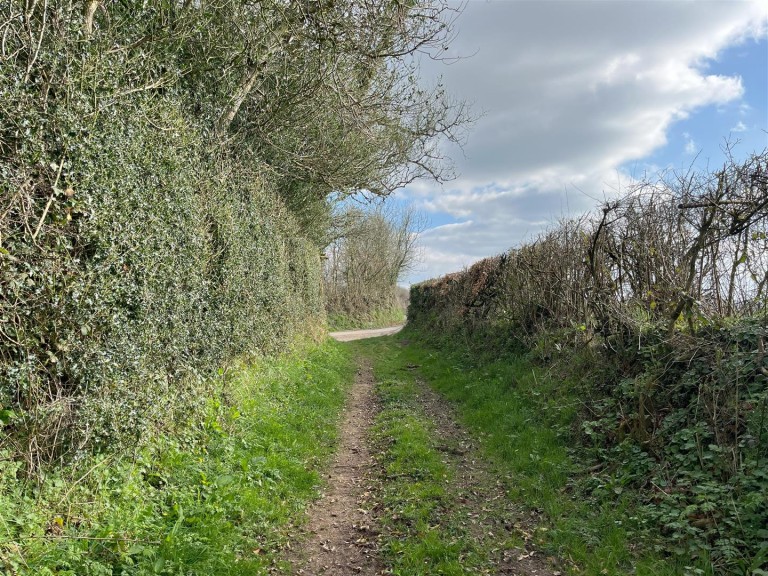 Images for Washford Pyne