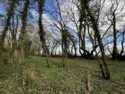 Images for Washford Pyne
