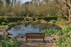 Images for Pickwell, Braunton