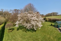 Images for Pickwell, Braunton