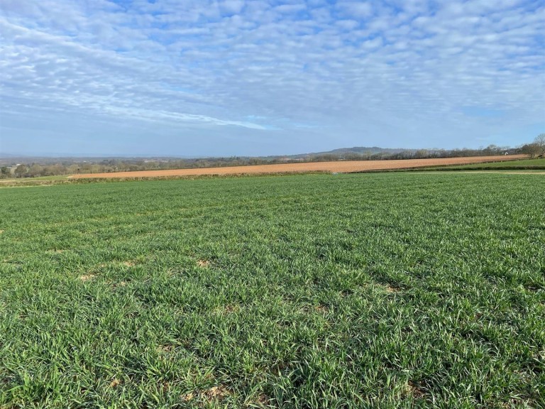 Images for Payhembury, Honiton