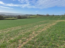 Images for Payhembury, Honiton
