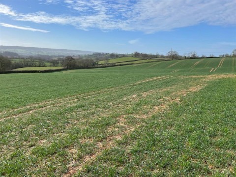 Click the photo for more details of Payhembury, Honiton