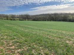 Images for Payhembury, Honiton
