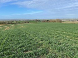 Images for Payhembury, Honiton