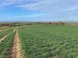 Images for Payhembury, Honiton