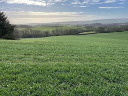 Images for Payhembury, Honiton