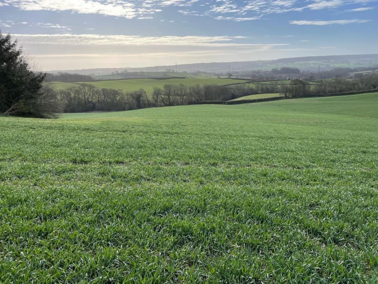 Images for Payhembury, Honiton