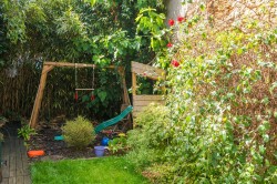 Images for High Street, Totnes