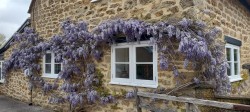 Images for Watergore, South Petherton