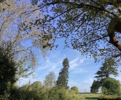 Images for High Street, Somerby, Melton Mowbray