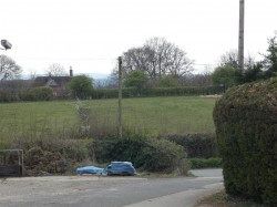 Images for Todber