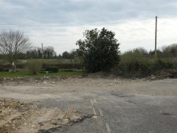 Images for Todber
