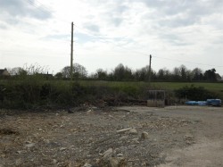 Images for Todber