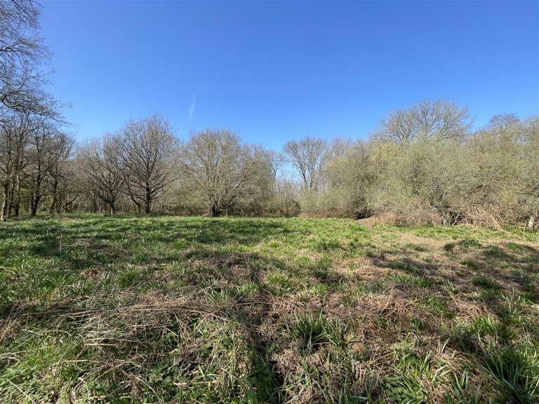 Images for Hammoon, Sturminster Newton