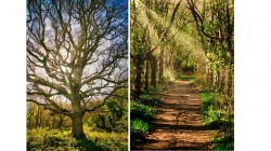 Images for Hammoon, Sturminster Newton