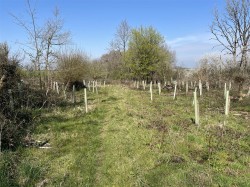 Images for Hammoon, Sturminster Newton