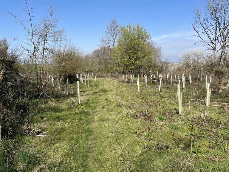 Images for Hammoon, Sturminster Newton