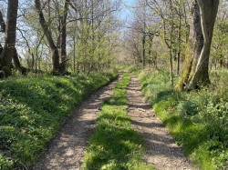 Images for Hammoon, Sturminster Newton