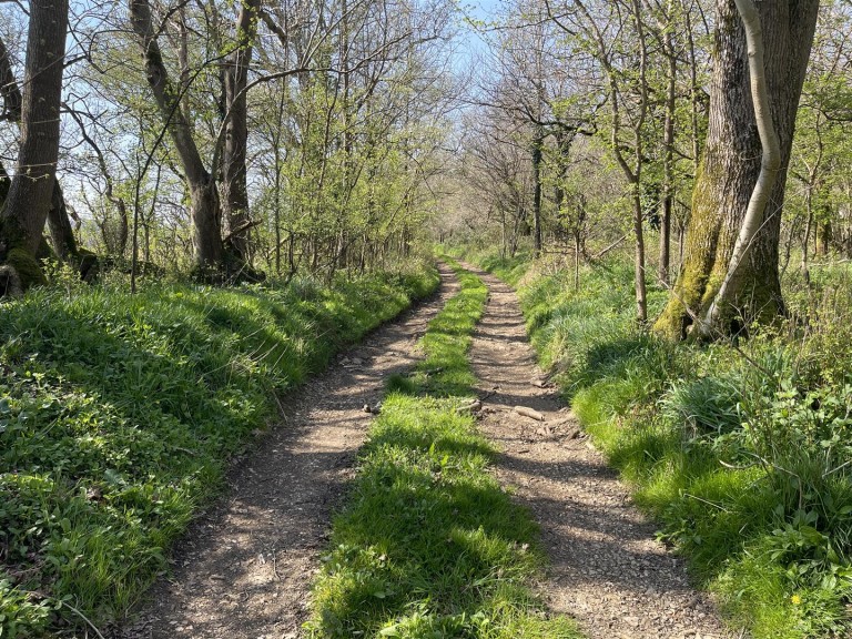Images for Hammoon, Sturminster Newton