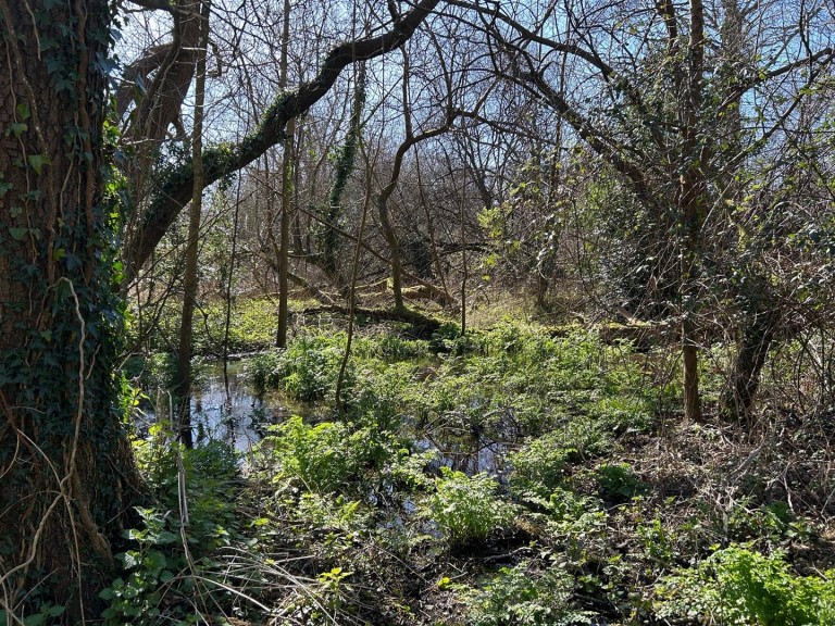 Images for Land at Sweatford Waters, Green Lane, Fordingbridge
