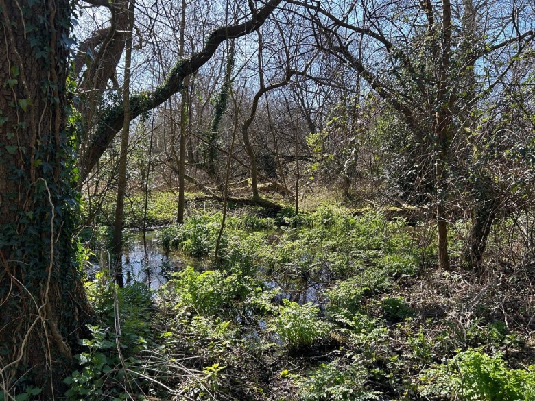 Click the photo for more details of Land at Sweatford Waters, Green Lane, Fordingbridge