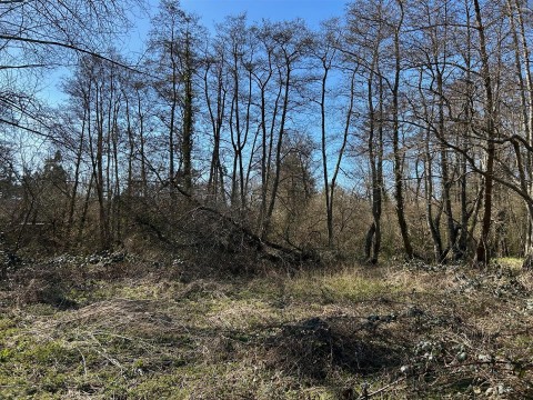 Click the photo for more details of Land at Sweatford Waters, Green Lane, Fordingbridge