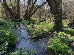 Images for Land at Sweatford Waters, Green Lane, Fordingbridge