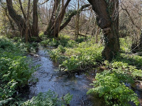 Click the photo for more details of Land at Sweatford Waters, Green Lane, Fordingbridge