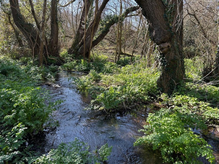 Images for Land at Sweatford Waters, Green Lane, Fordingbridge