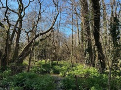 Images for Land at Sweatford Waters, Green Lane, Fordingbridge