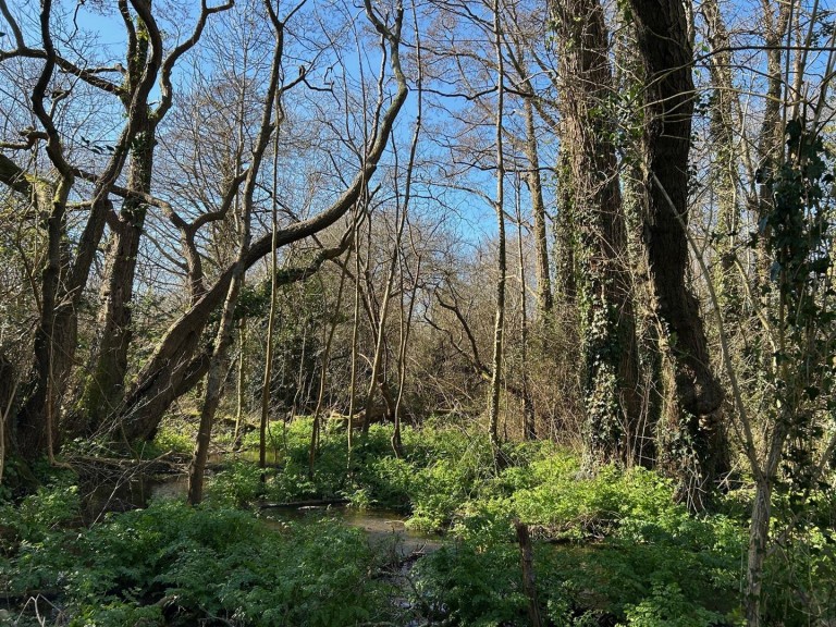 Images for Land at Sweatford Waters, Green Lane, Fordingbridge