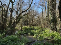 Images for Land at Sweatford Waters, Green Lane, Fordingbridge
