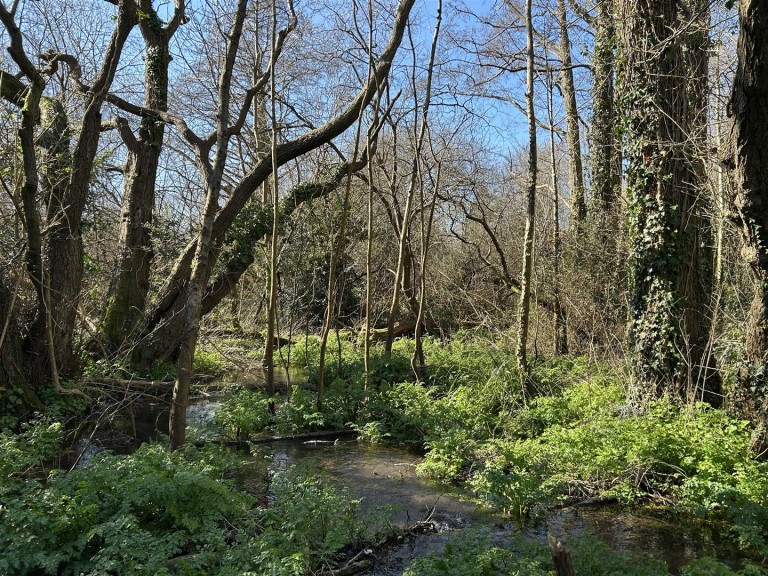 Images for Land at Sweatford Waters, Green Lane, Fordingbridge