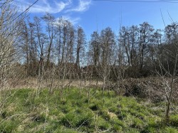 Images for Land at Sweatford Waters, Green Lane, Fordingbridge