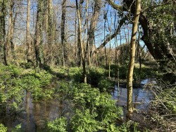 Images for Land at Sweatford Waters, Green Lane, Fordingbridge