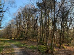 Images for Kennford, Exeter