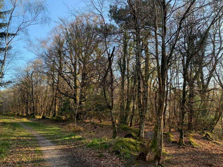 Click the photo for more details of Kennford, Exeter