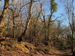 Images for Kennford, Exeter