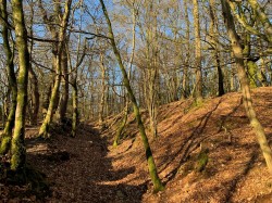Images for Kennford, Exeter