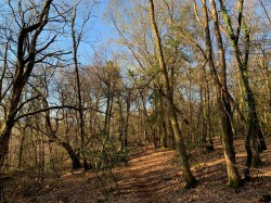 Images for Kennford, Exeter